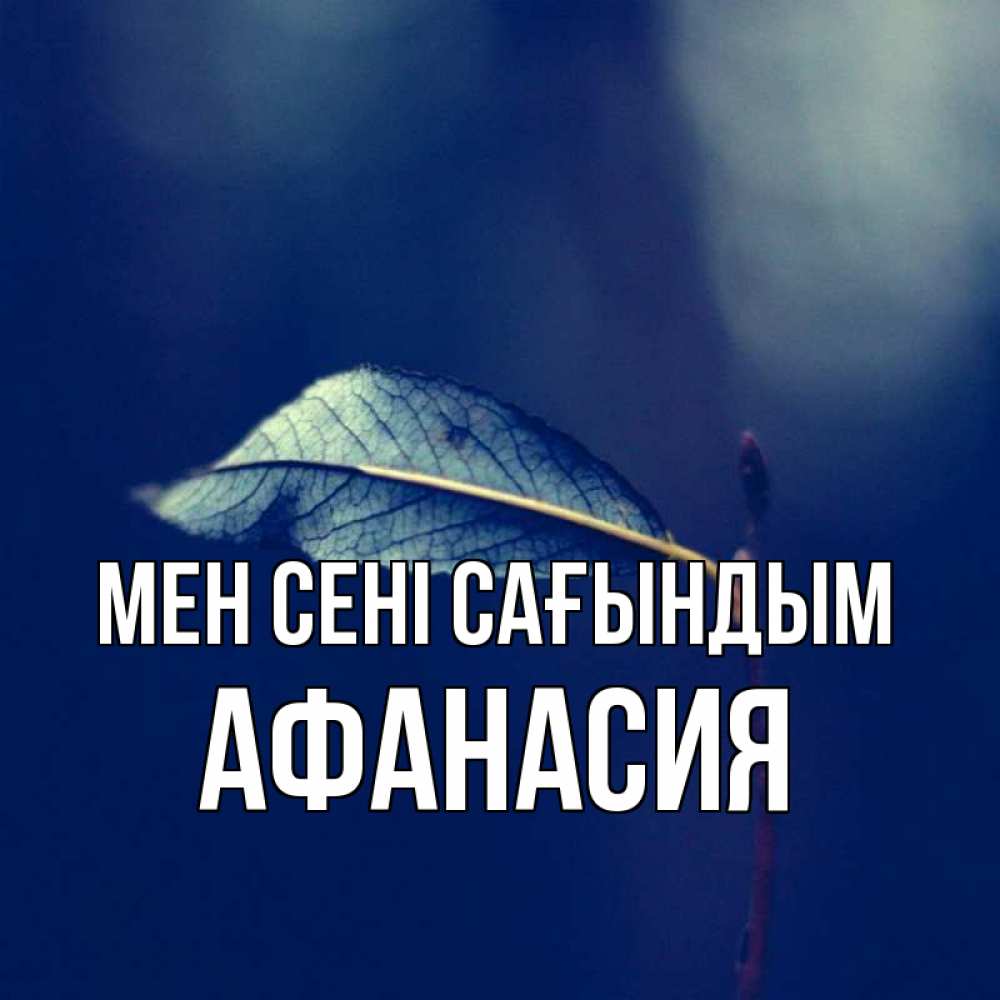 Күн сайын ашық хат с именем, Афанасия Мен сені сағындым одна ветка 1 Онлайн тегін жүктеп алу тілектері бар керемет карта 