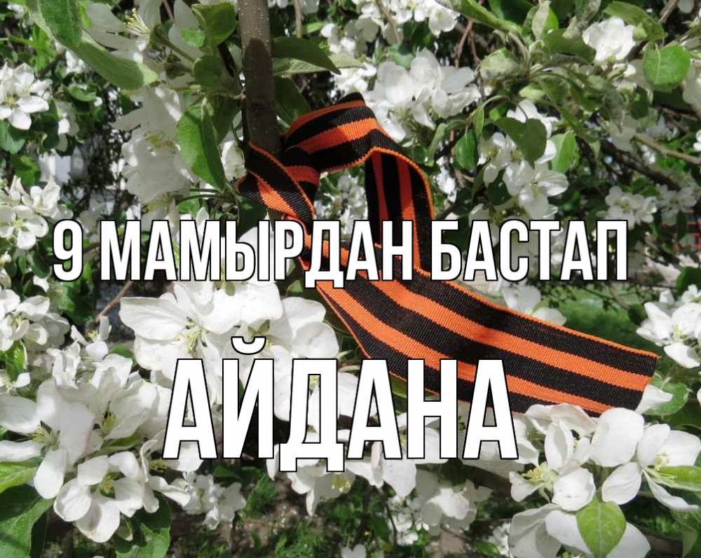 Күн сайын ашық хат с именем, АЙДАНА 9 мамырдан бастап 9 мая Онлайн тегін жүктеп алу тілектері бар керемет карта 