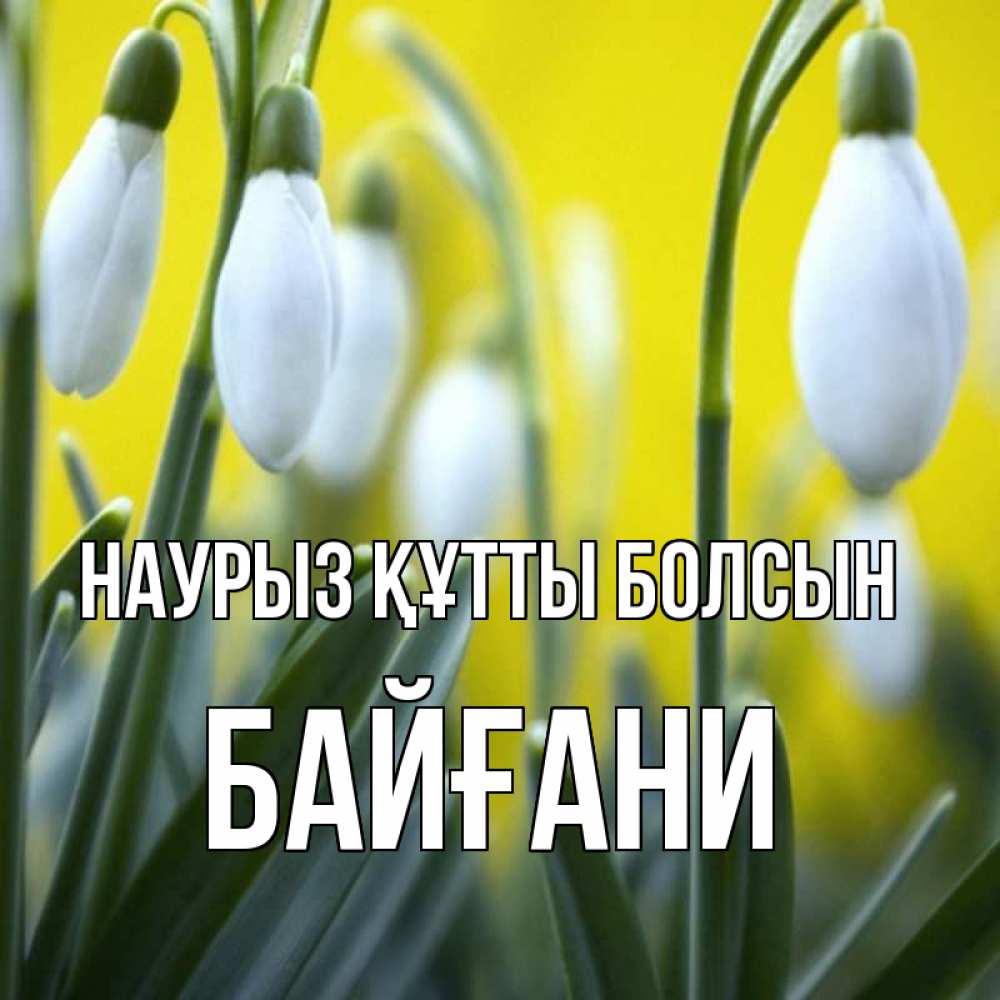 Күн сайын ашық хат с именем, Байғани Наурыз құтты болсын весенние цветы Онлайн тегін жүктеп алу тілектері бар керемет карта 