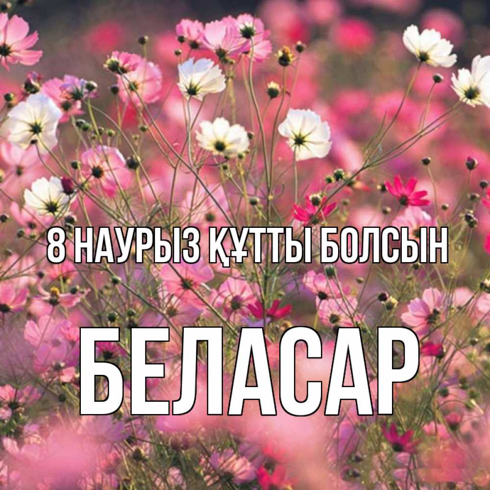 Күн сайын ашық хат с именем, Беласар 8 наурыз құтты болсын красиво 1 Онлайн тегін жүктеп алу тілектері бар керемет карта 