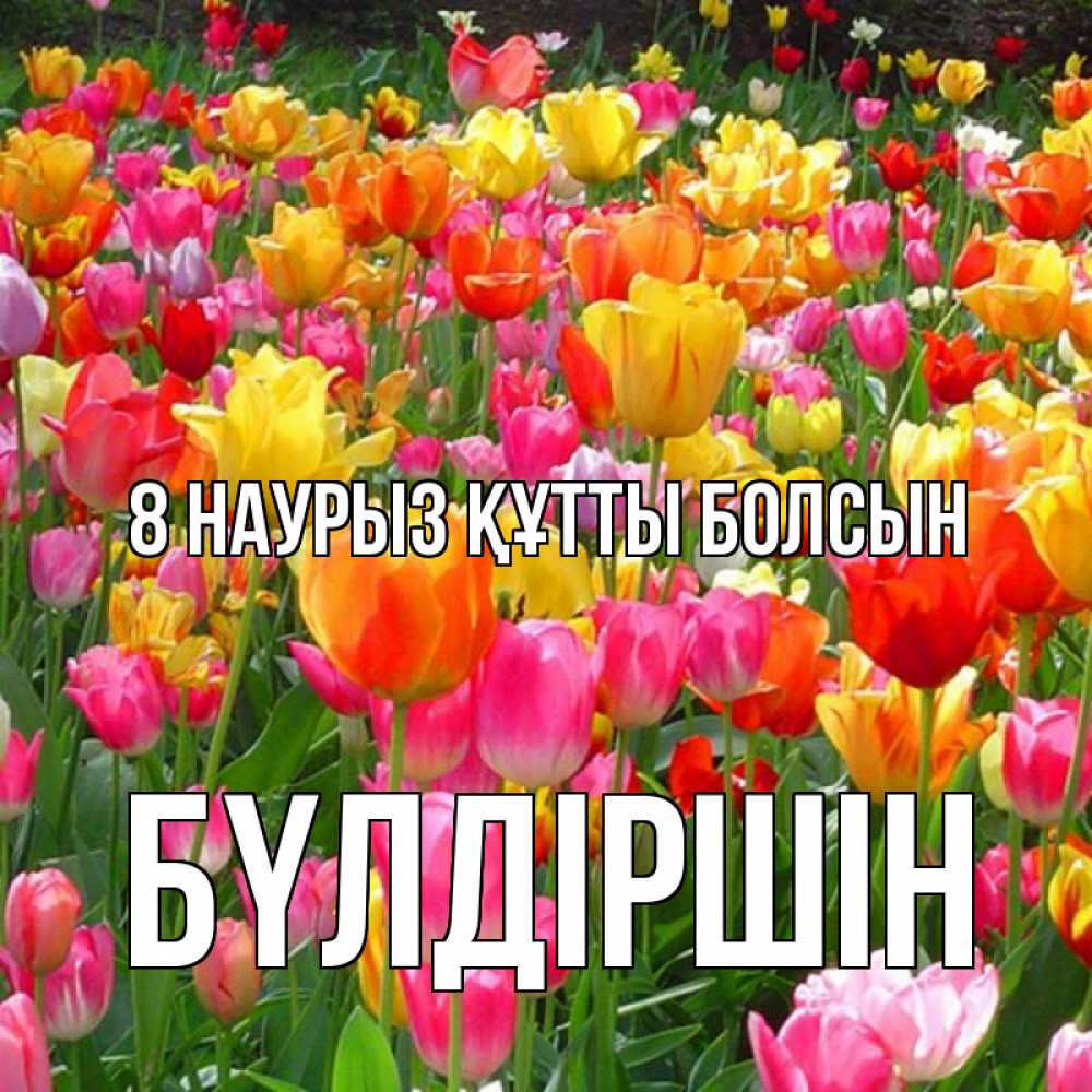 Күн сайын ашық хат с именем, БҮЛДІРШІН 8 наурыз құтты болсын на международный женский день Онлайн тегін жүктеп алу тілектері бар керемет карта 