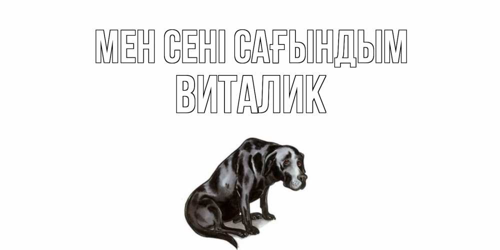 Күн сайын ашық хат с именем, Виталик Мен сені сағындым я по тебе скучаю открытка с собакой Онлайн тегін жүктеп алу тілектері бар керемет карта 