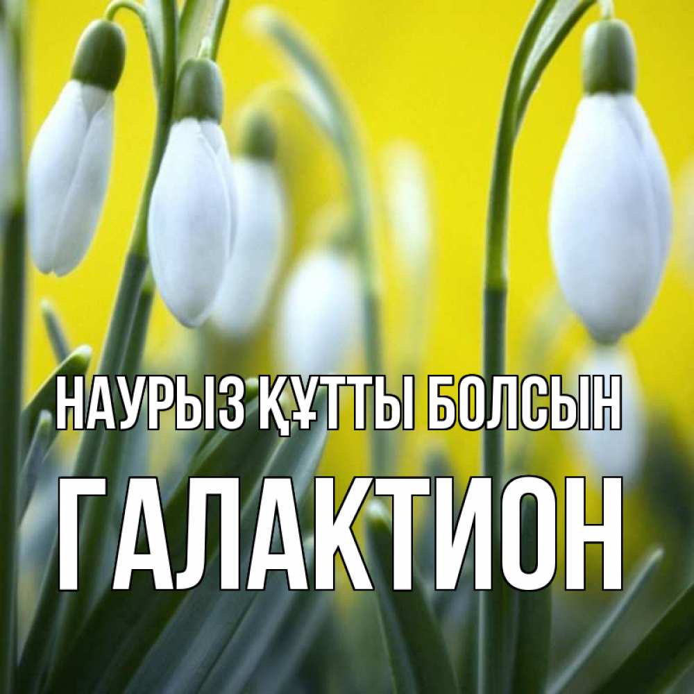 Күн сайын ашық хат с именем, Галактион Наурыз құтты болсын весенние цветы Онлайн тегін жүктеп алу тілектері бар керемет карта 