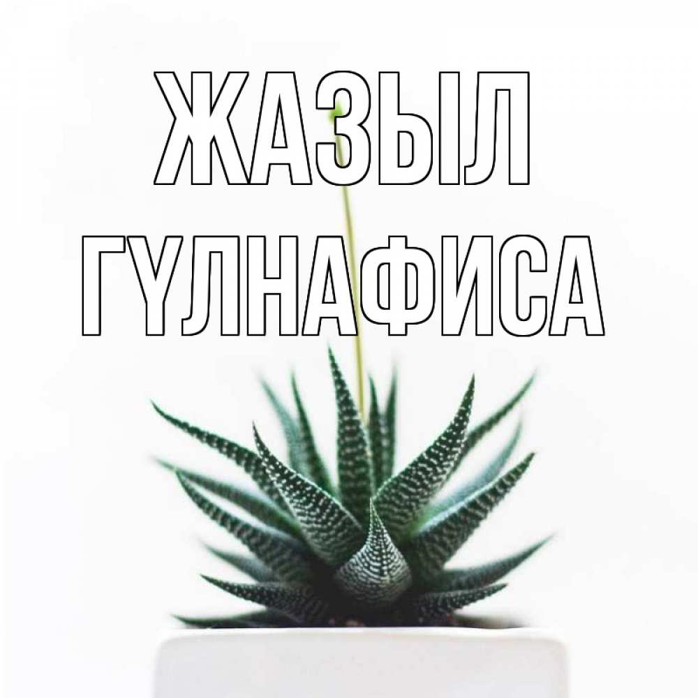 Күн сайын ашық хат с именем, ГҮЛНАФИСА Жазыл короче это непонятная колючка Онлайн тегін жүктеп алу тілектері бар керемет карта 