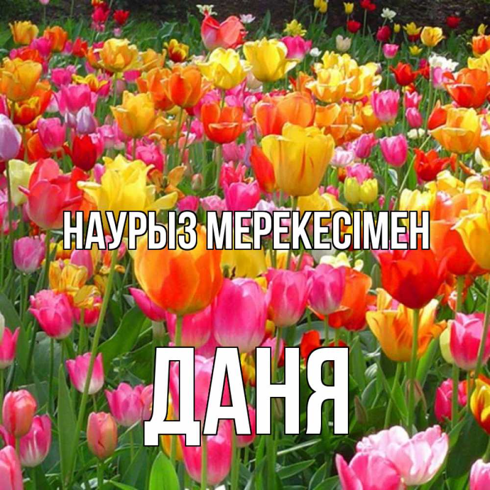 Күн сайын ашық хат с именем, Даня Наурыз мерекесімен праздник весны наурыз 4 Онлайн тегін жүктеп алу тілектері бар керемет карта 