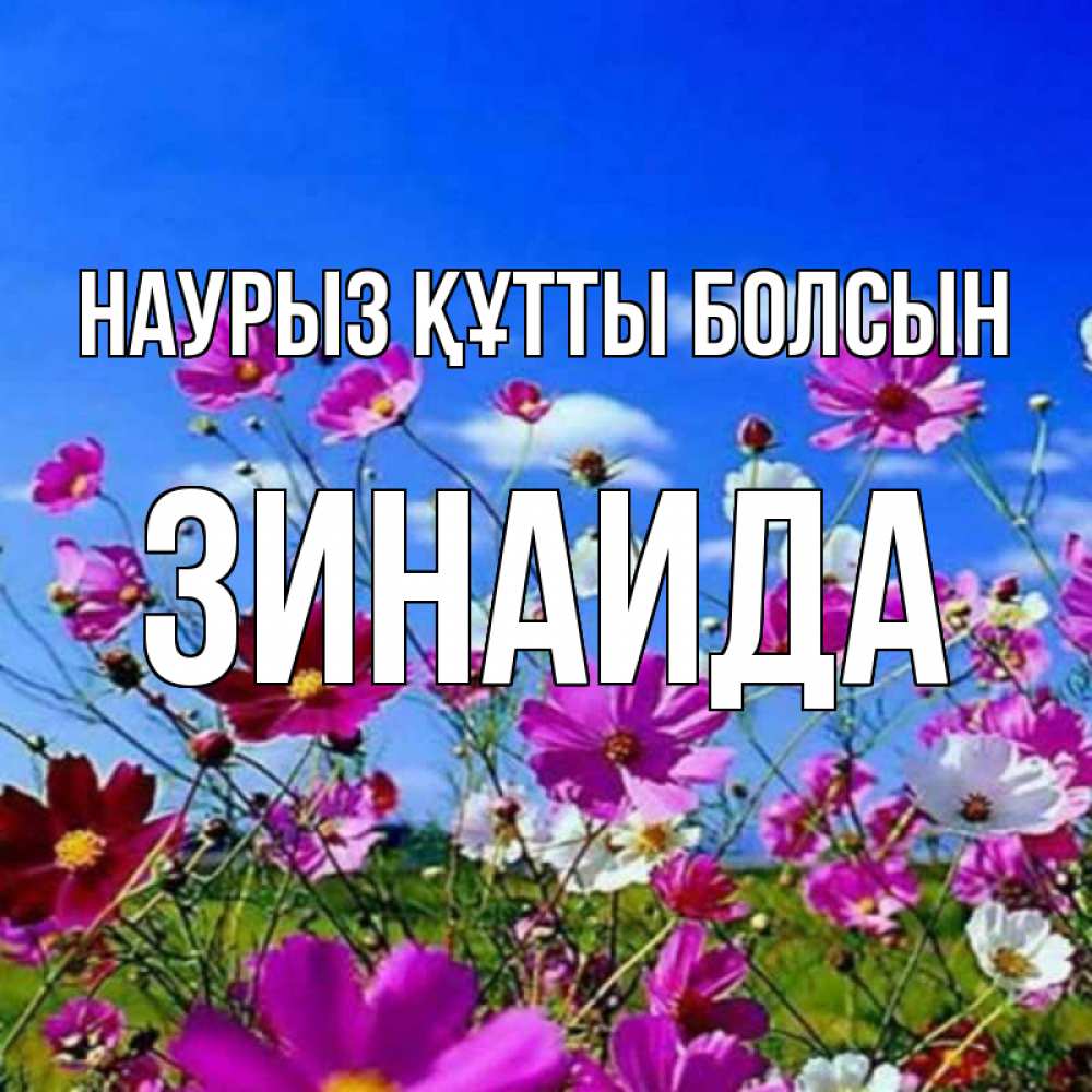 Күн сайын ашық хат с именем, Зинаида Наурыз құтты болсын цветы Онлайн тегін жүктеп алу тілектері бар керемет карта 