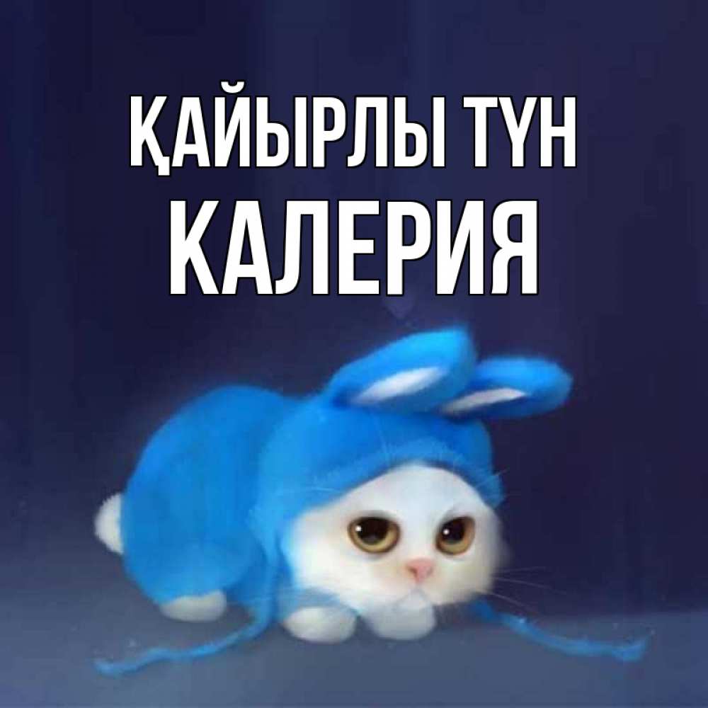 Күн сайын ашық хат с именем, Калерия Қайырлы түн кот в голубом костюме кролика с ушками Онлайн тегін жүктеп алу тілектері бар керемет карта 