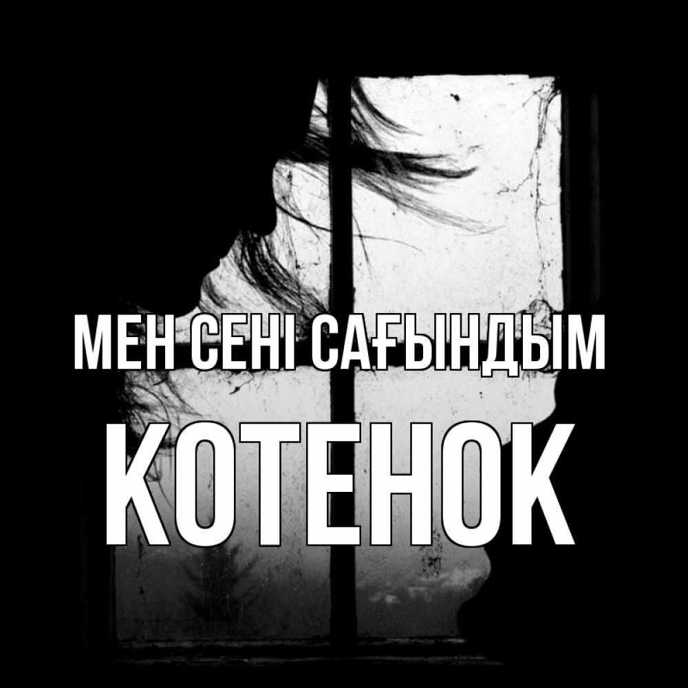 Күн сайын ашық хат с именем, Котенок Мен сені сағындым силуэт Онлайн тегін жүктеп алу тілектері бар керемет карта 