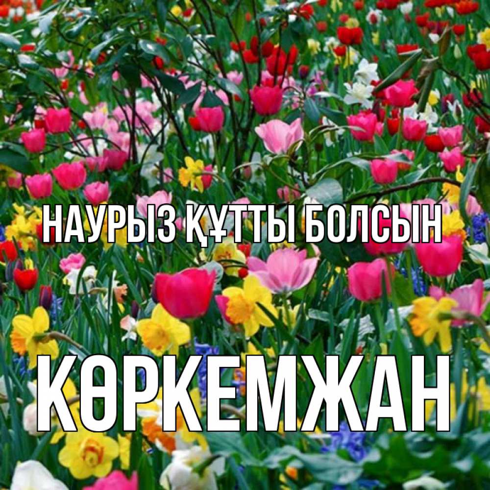 Күн сайын ашық хат с именем, Көркемжан Наурыз құтты болсын с наурызом поздравления для женщины Онлайн тегін жүктеп алу тілектері бар керемет карта 
