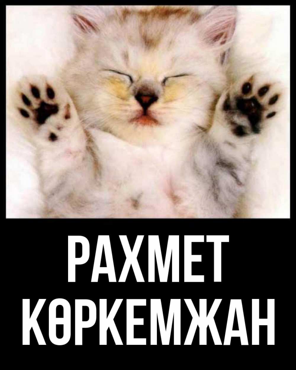 Күн сайын ашық хат с именем, Көркемжан рахмет маленький котенок Онлайн тегін жүктеп алу тілектері бар керемет карта 