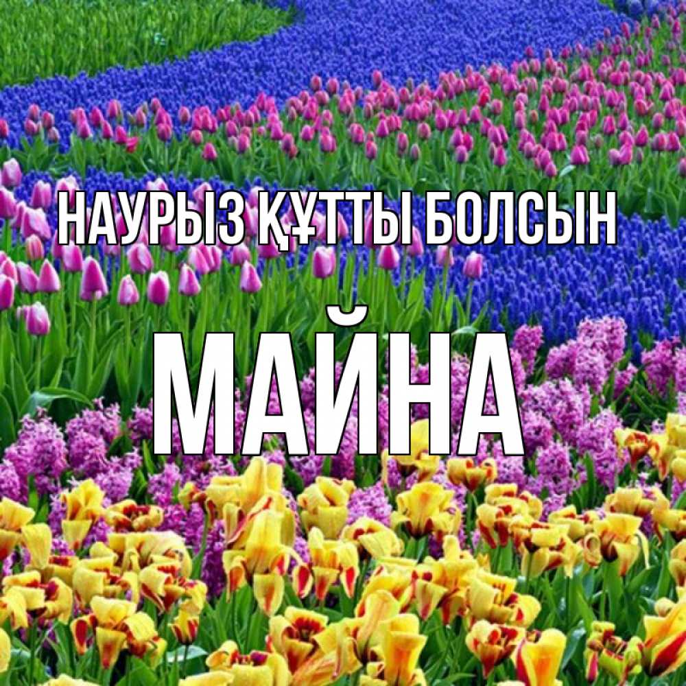 Күн сайын ашық хат с именем, МАЙНА Наурыз құтты болсын цветы Онлайн тегін жүктеп алу тілектері бар керемет карта 