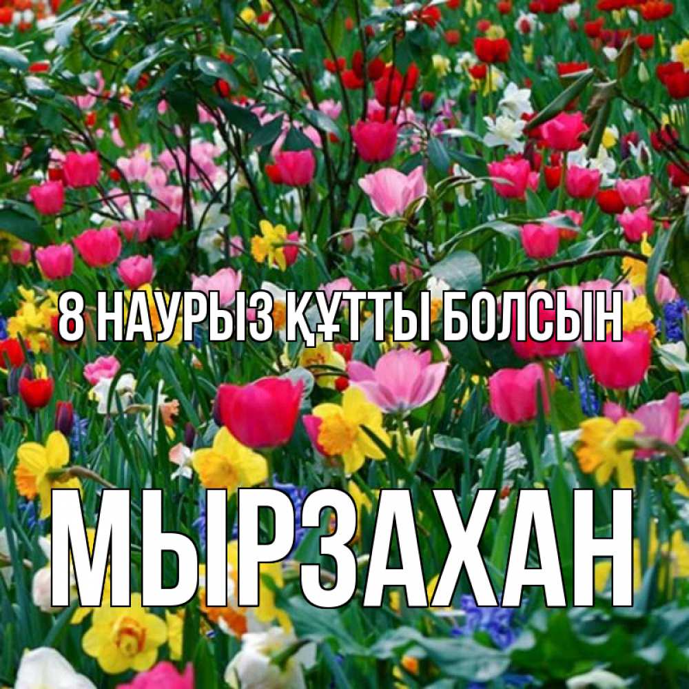 Күн сайын ашық хат с именем, Мырзахан 8 наурыз құтты болсын с международным женским днем поздравления для женщины Онлайн тегін жүктеп алу тілектері бар керемет карта 