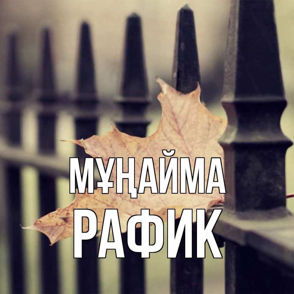 Күн сайын ашық хат с именем, РАФИК Мұңайма лист клена Онлайн тегін жүктеп алу тілектері бар керемет карта 