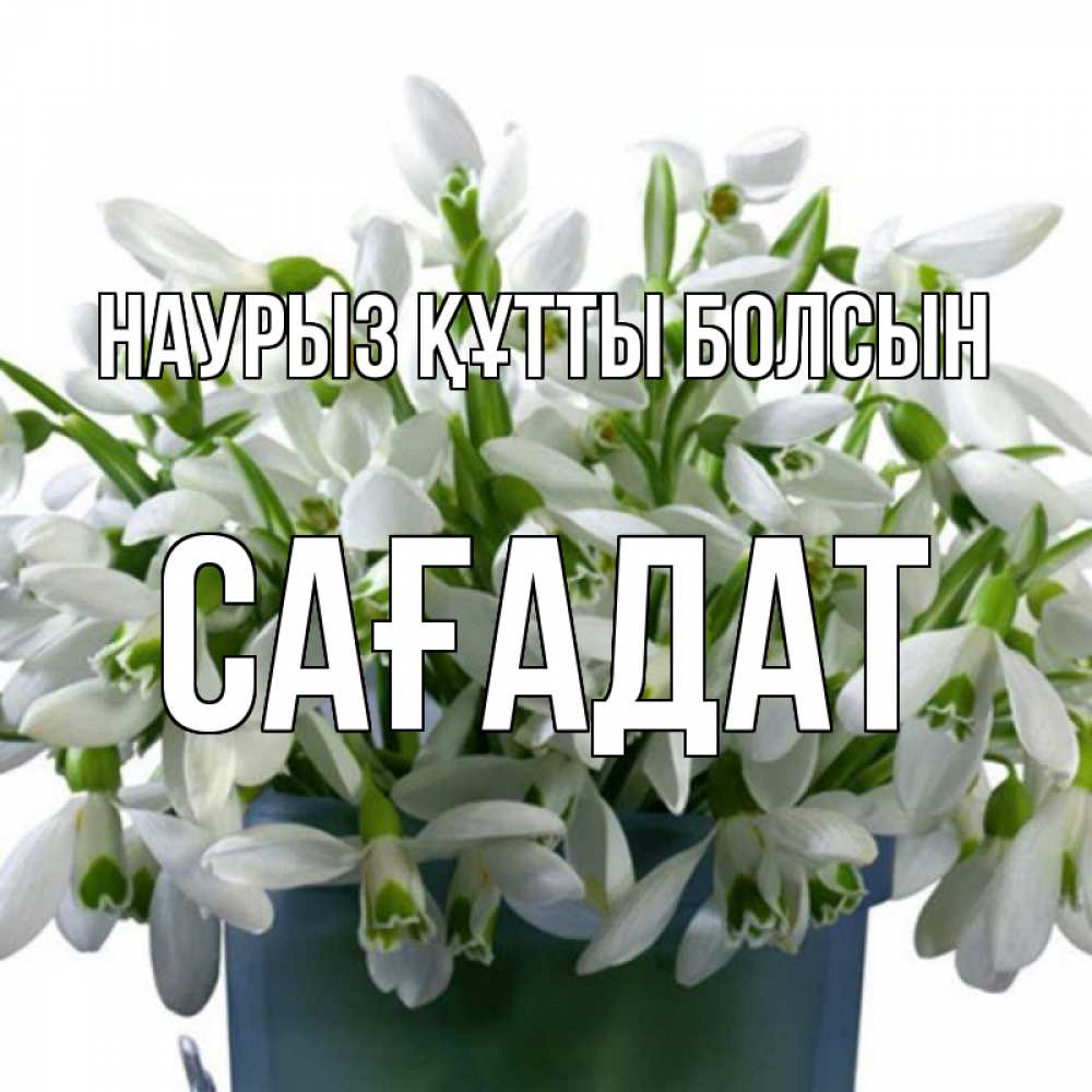 Күн сайын ашық хат с именем, САҒАДАТ Наурыз құтты болсын цветы к наурызу Онлайн тегін жүктеп алу тілектері бар керемет карта 
