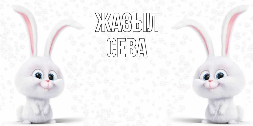 Күн сайын ашық хат с именем, Сева Жазыл не болей с зайцем Онлайн тегін жүктеп алу тілектері бар керемет карта 