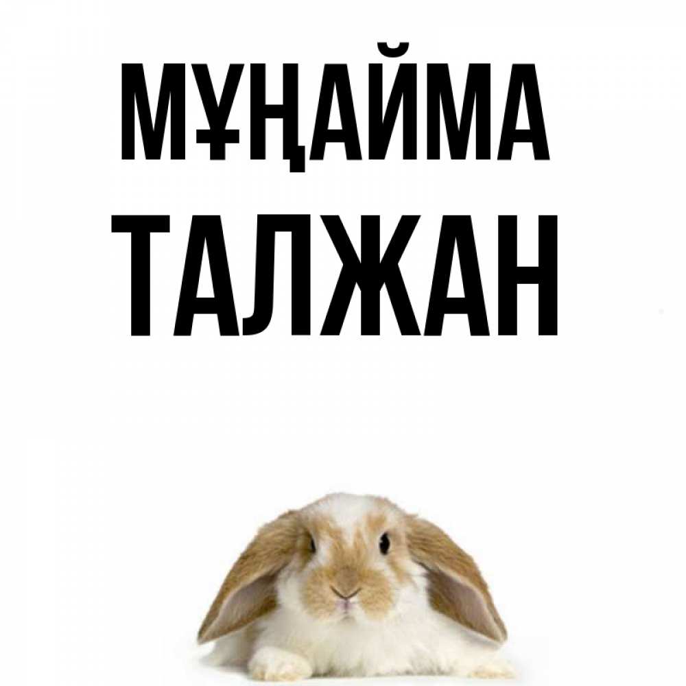 Күн сайын ашық хат с именем, ТАЛЖАН Мұңайма коричнево белый заяц с большими ушками Онлайн тегін жүктеп алу тілектері бар керемет карта 
