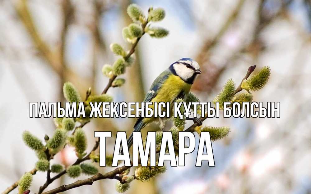 Күн сайын ашық хат с именем, ТАМАРА Пальма жексенбісі құтты болсын верба Онлайн тегін жүктеп алу тілектері бар керемет карта 