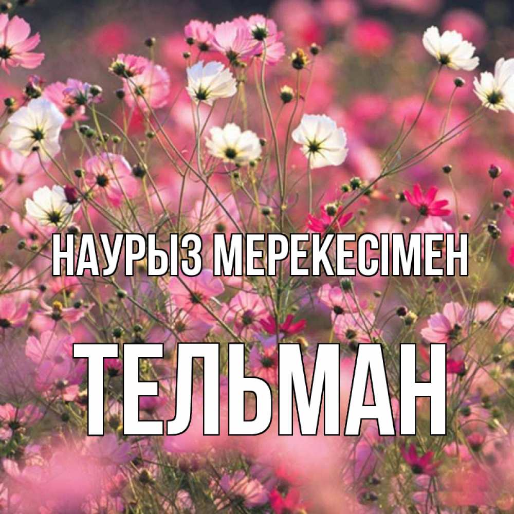 Күн сайын ашық хат с именем, Тельман Наурыз мерекесімен красиво 1 Онлайн тегін жүктеп алу тілектері бар керемет карта 