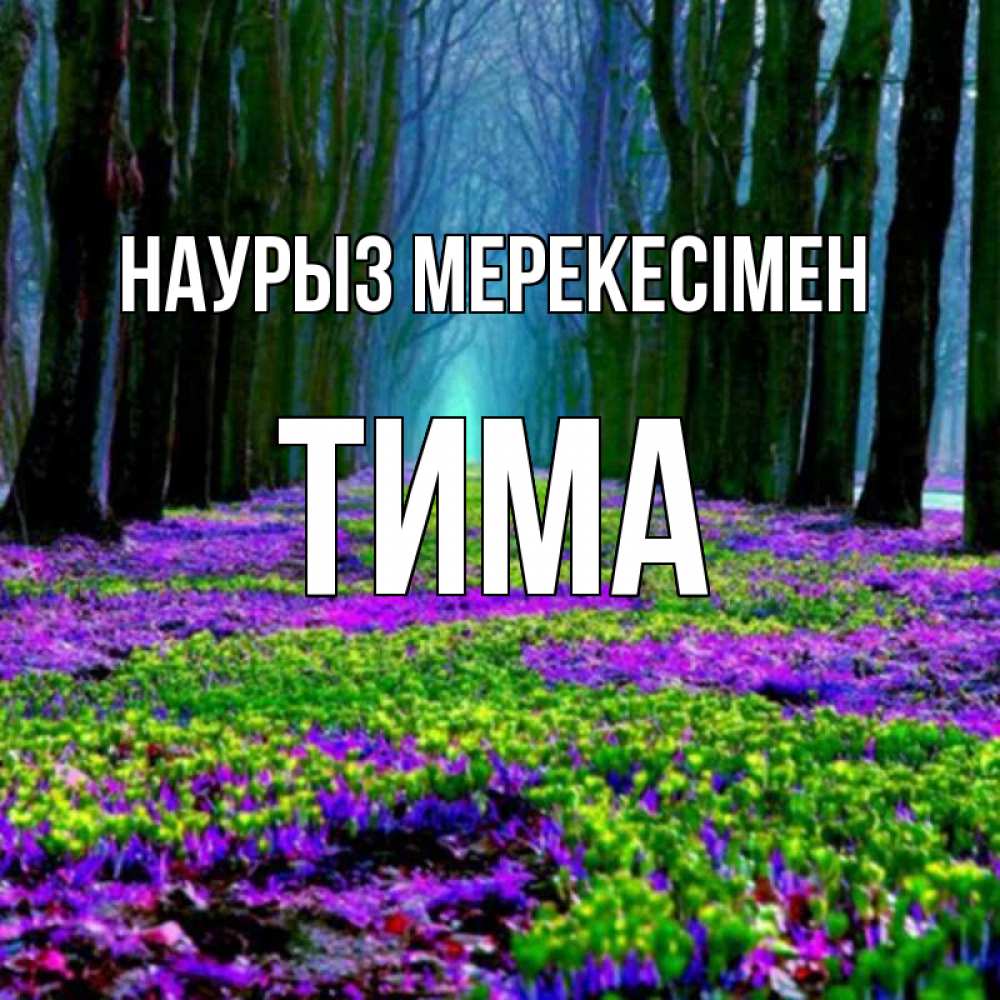 Күн сайын ашық хат с именем, Тима Наурыз мерекесімен фиолетовые цветы в лесу 1 Онлайн тегін жүктеп алу тілектері бар керемет карта 