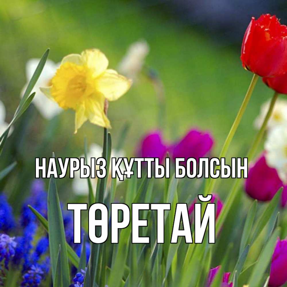 Күн сайын ашық хат с именем, Төретай Наурыз құтты болсын наурыз  3 открытки Онлайн тегін жүктеп алу тілектері бар керемет карта 