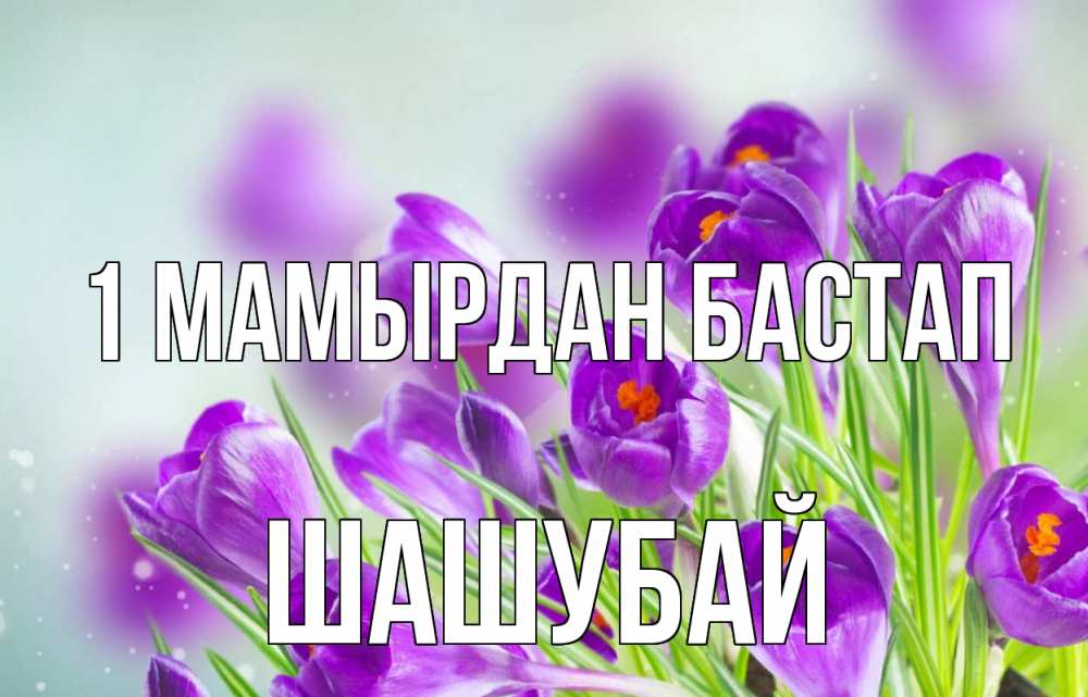 Күн сайын ашық хат с именем, ШАШУБАЙ 1 мамырдан бастап 1 мая Онлайн тегін жүктеп алу тілектері бар керемет карта 