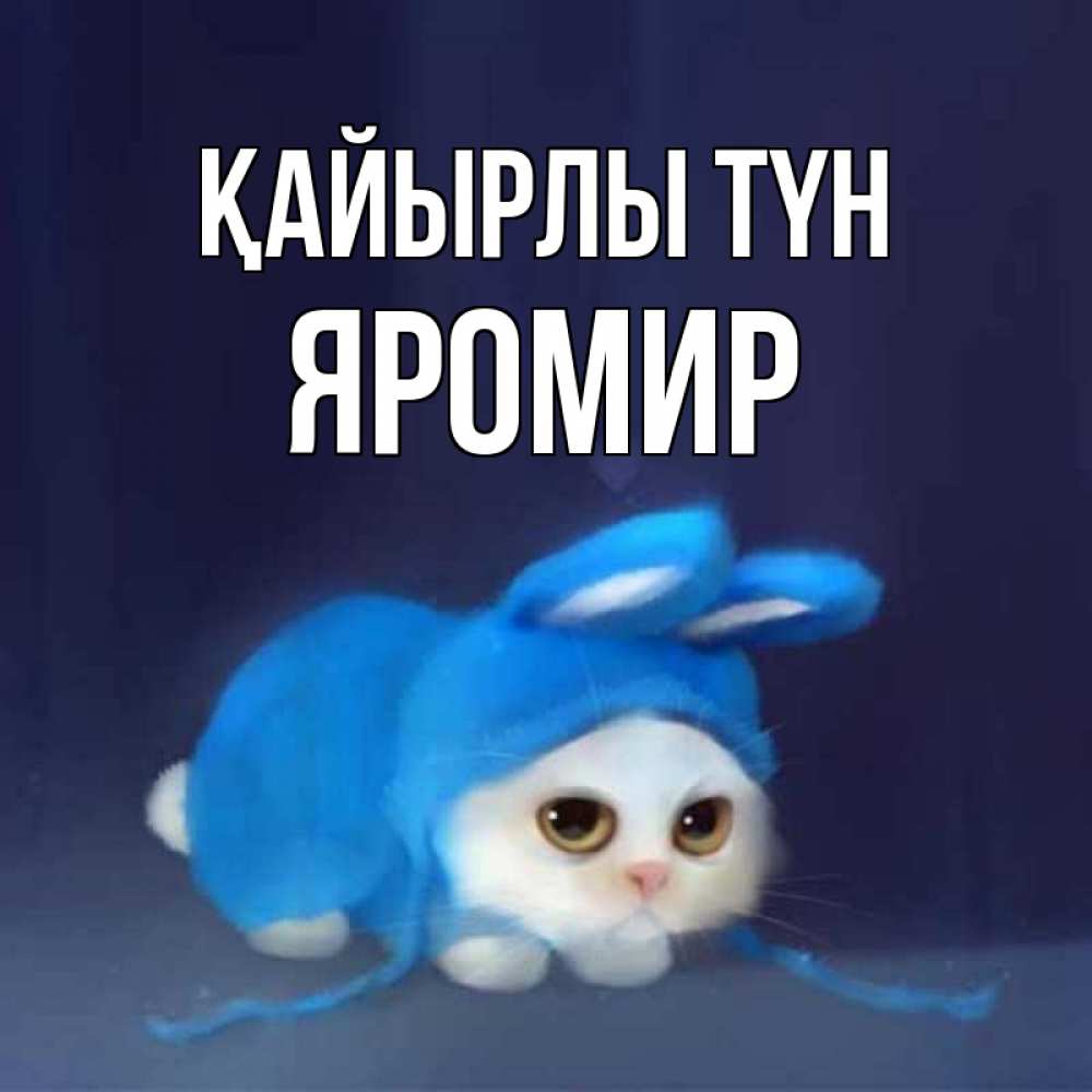 Күн сайын ашық хат с именем, Яромир Қайырлы түн кот в голубом костюме кролика с ушками Онлайн тегін жүктеп алу тілектері бар керемет карта 