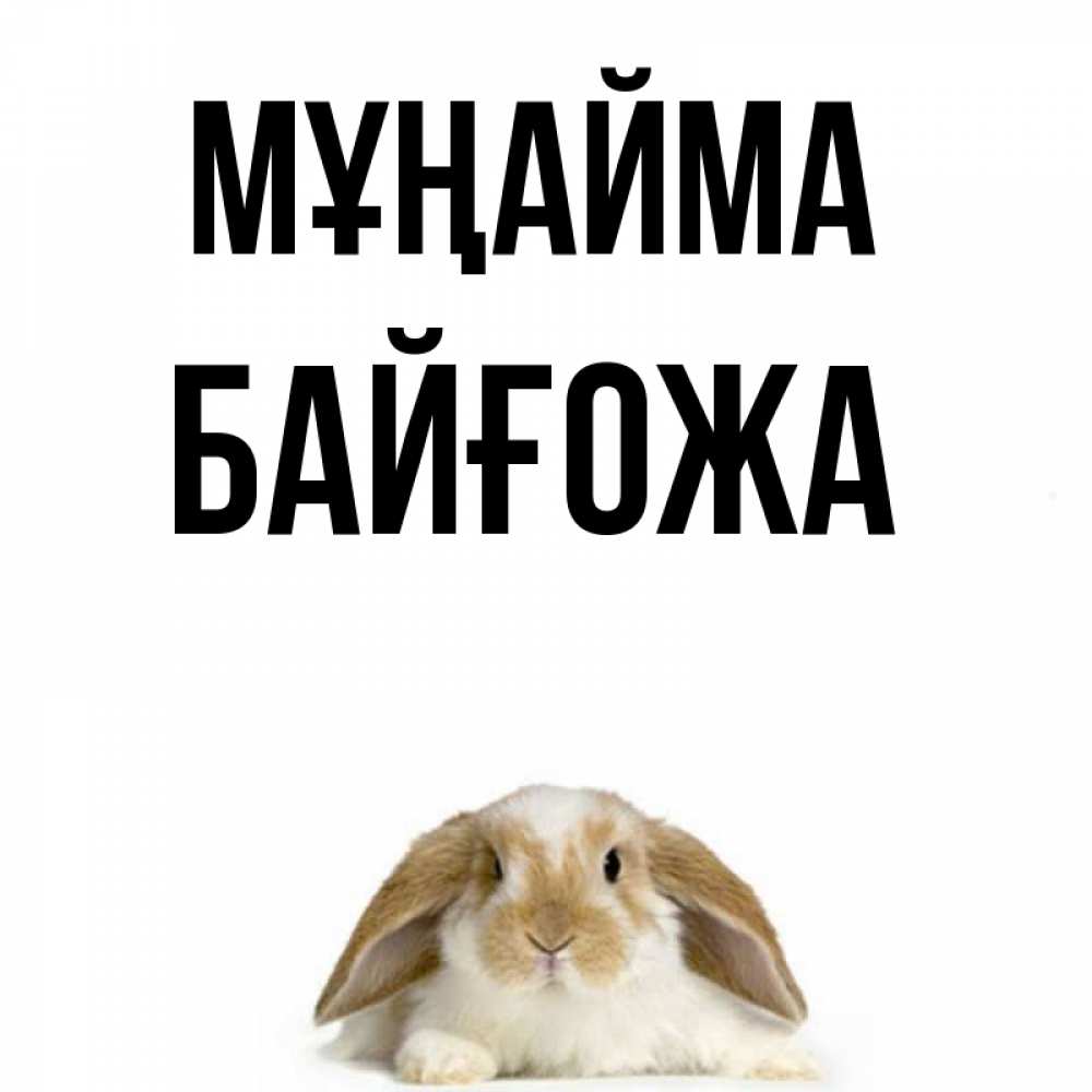 Күн сайын ашық хат с именем, Байғожа Мұңайма коричнево белый заяц с большими ушками Онлайн тегін жүктеп алу тілектері бар керемет карта 