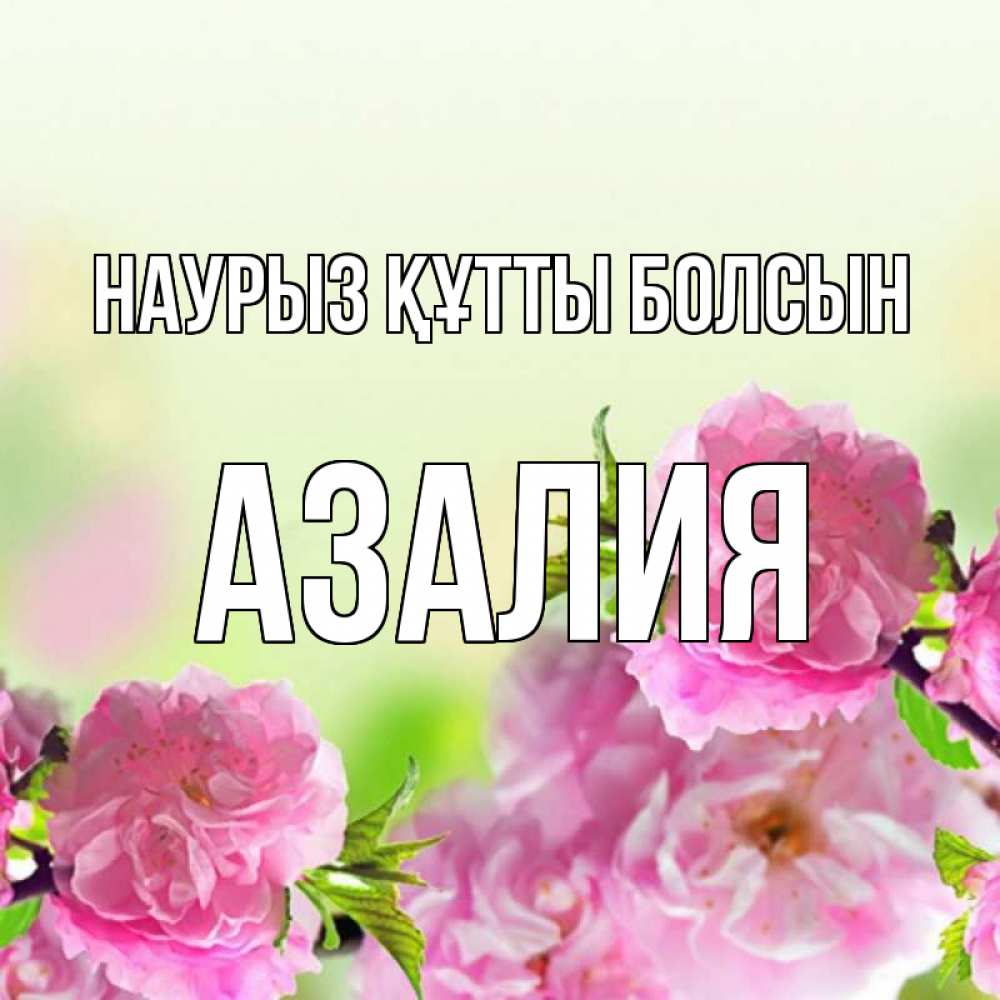Күн сайын ашық хат с именем, Азалия Наурыз құтты болсын цветы Онлайн тегін жүктеп алу тілектері бар керемет карта 
