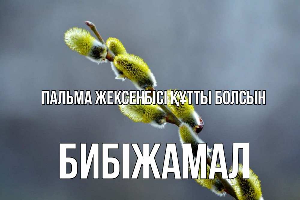 Күн сайын ашық хат с именем, БИБІЖАМАЛ Пальма жексенбісі құтты болсын верба Онлайн тегін жүктеп алу тілектері бар керемет карта 