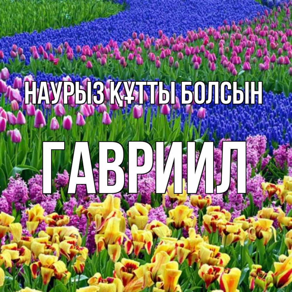 Күн сайын ашық хат с именем, Гавриил Наурыз құтты болсын цветы Онлайн тегін жүктеп алу тілектері бар керемет карта 