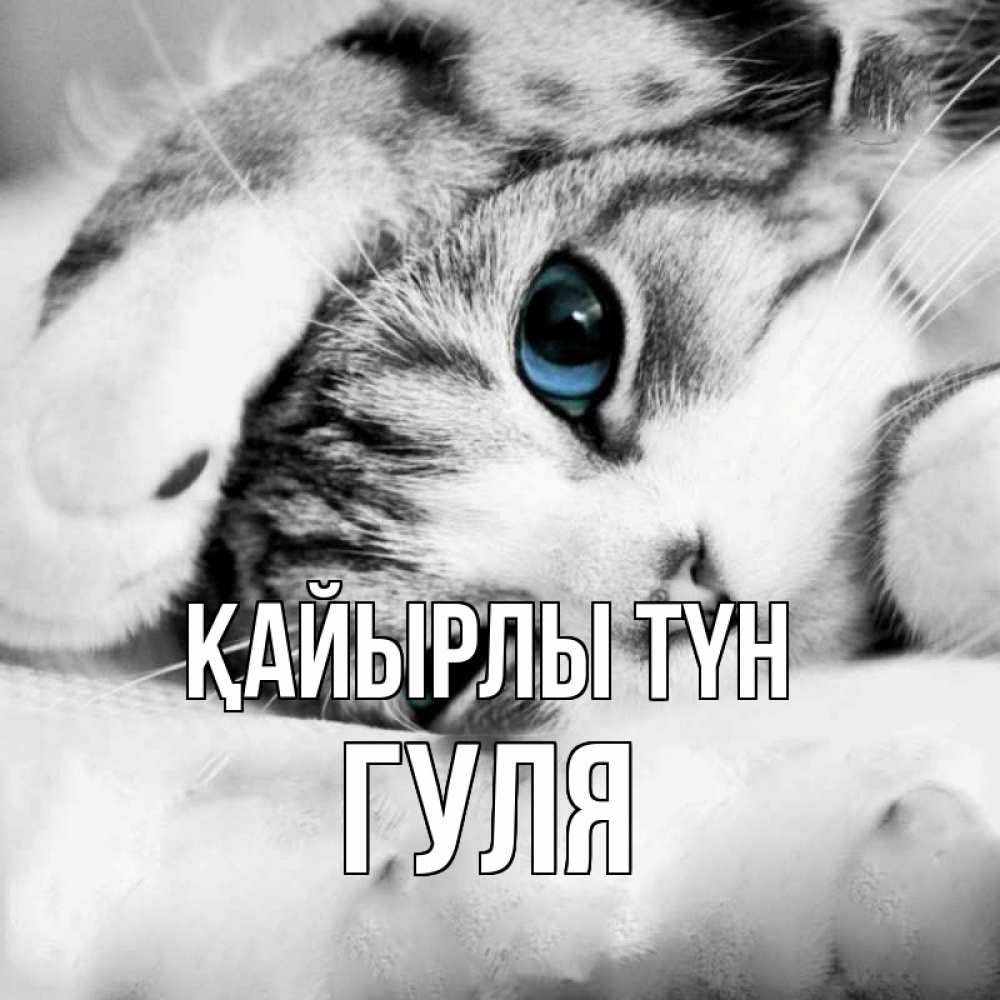 Күн сайын ашық хат с именем, Гуля Қайырлы түн кот устал Онлайн тегін жүктеп алу тілектері бар керемет карта 