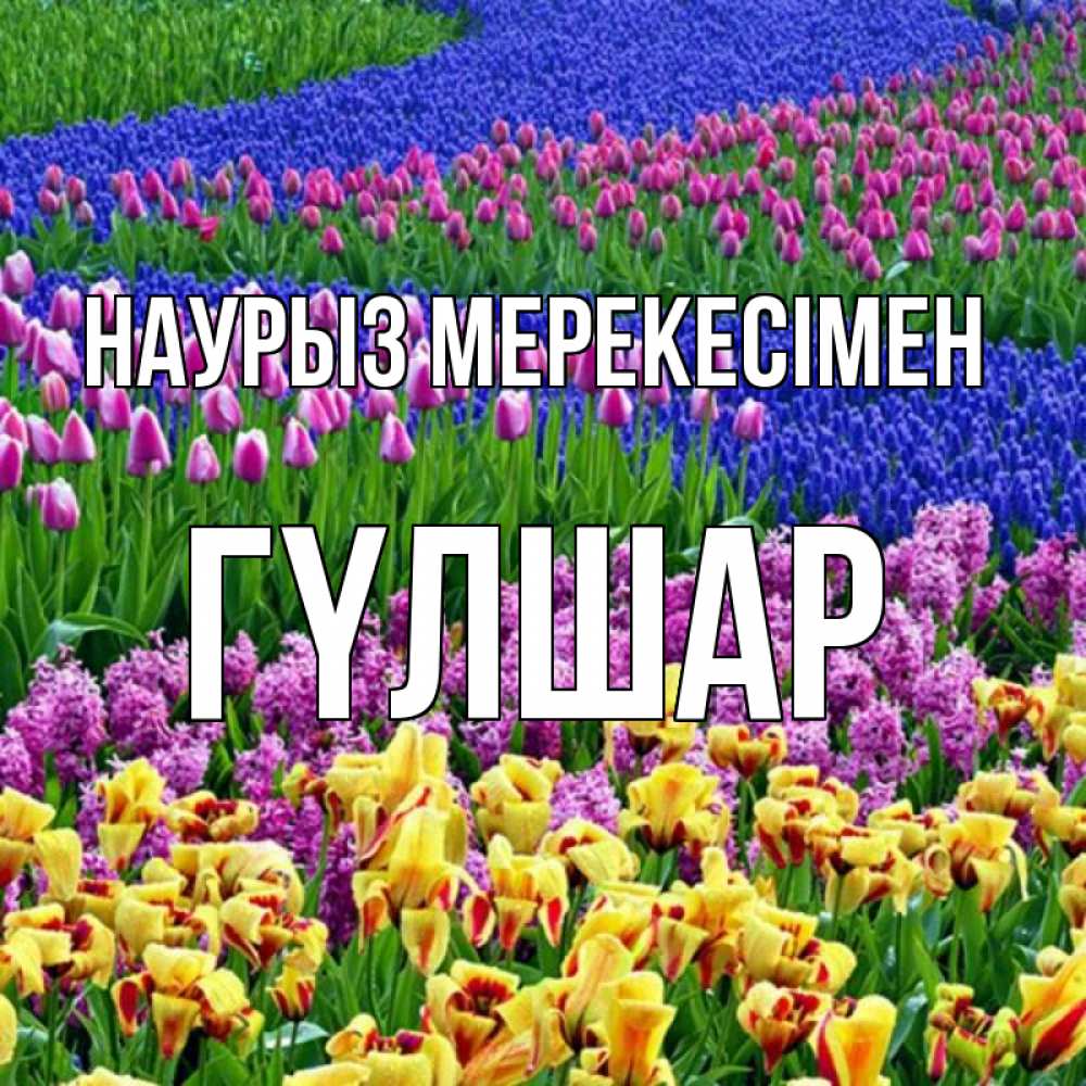 Күн сайын ашық хат с именем, ГҮЛШАР Наурыз мерекесімен цветы Онлайн тегін жүктеп алу тілектері бар керемет карта 