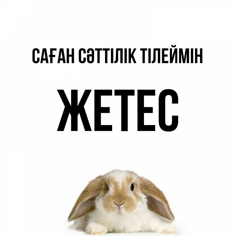 Күн сайын ашық хат с именем, Жетес Саған сәттілік тілеймін открытки с произвольным текстом который можно вставить в открытку и создать ее самостоятельно бесплатно онлайн Онлайн тегін жүктеп алу тілектері бар керемет карта 