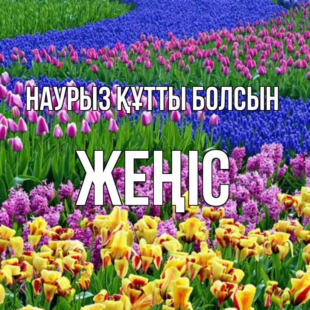 Күн сайын ашық хат с именем, Жеңіс Наурыз құтты болсын цветы Онлайн тегін жүктеп алу тілектері бар керемет карта 