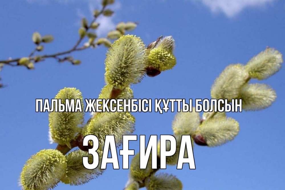 Күн сайын ашық хат с именем, ЗАҒИРА Пальма жексенбісі құтты болсын верба Онлайн тегін жүктеп алу тілектері бар керемет карта 