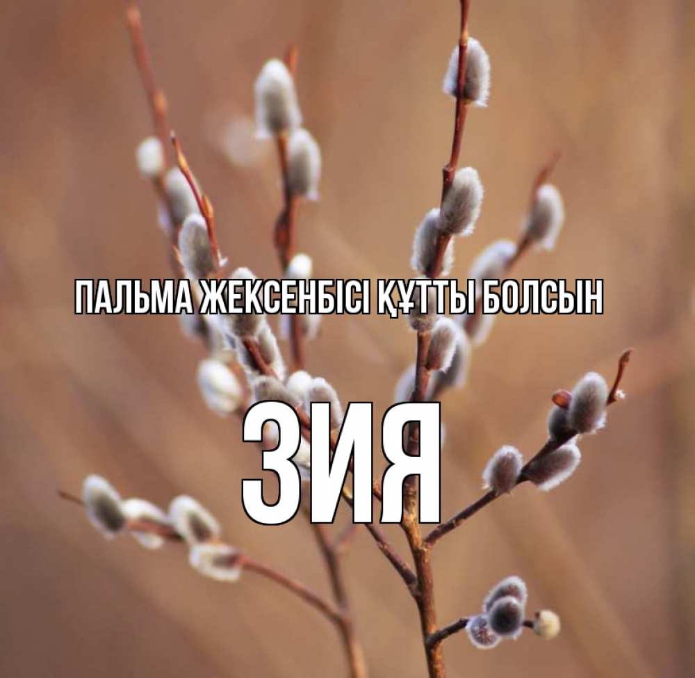 Күн сайын ашық хат с именем, ЗИЯ Пальма жексенбісі құтты болсын верба Онлайн тегін жүктеп алу тілектері бар керемет карта 