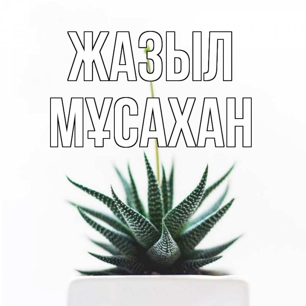 Күн сайын ашық хат с именем, Мұсахан Жазыл короче это непонятная колючка Онлайн тегін жүктеп алу тілектері бар керемет карта 