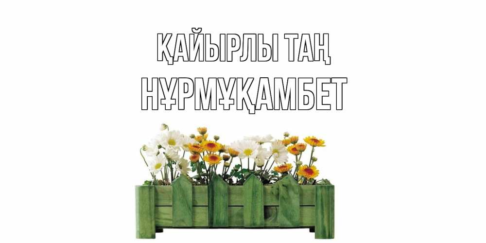 Күн сайын ашық хат с именем, НҰРМҰҚАМБЕТ Қайырлы таң цветы Онлайн тегін жүктеп алу тілектері бар керемет карта 
