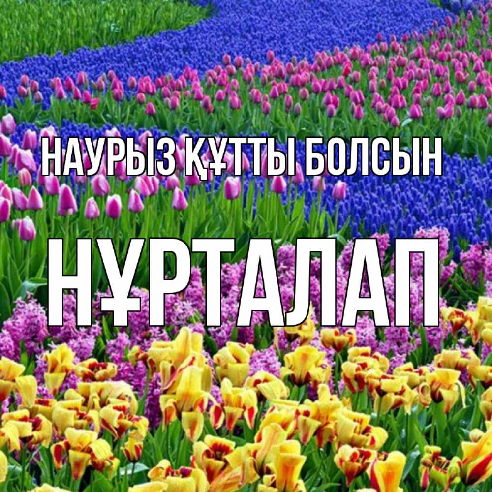Күн сайын ашық хат с именем, НҰРТАЛАП Наурыз құтты болсын цветы Онлайн тегін жүктеп алу тілектері бар керемет карта 