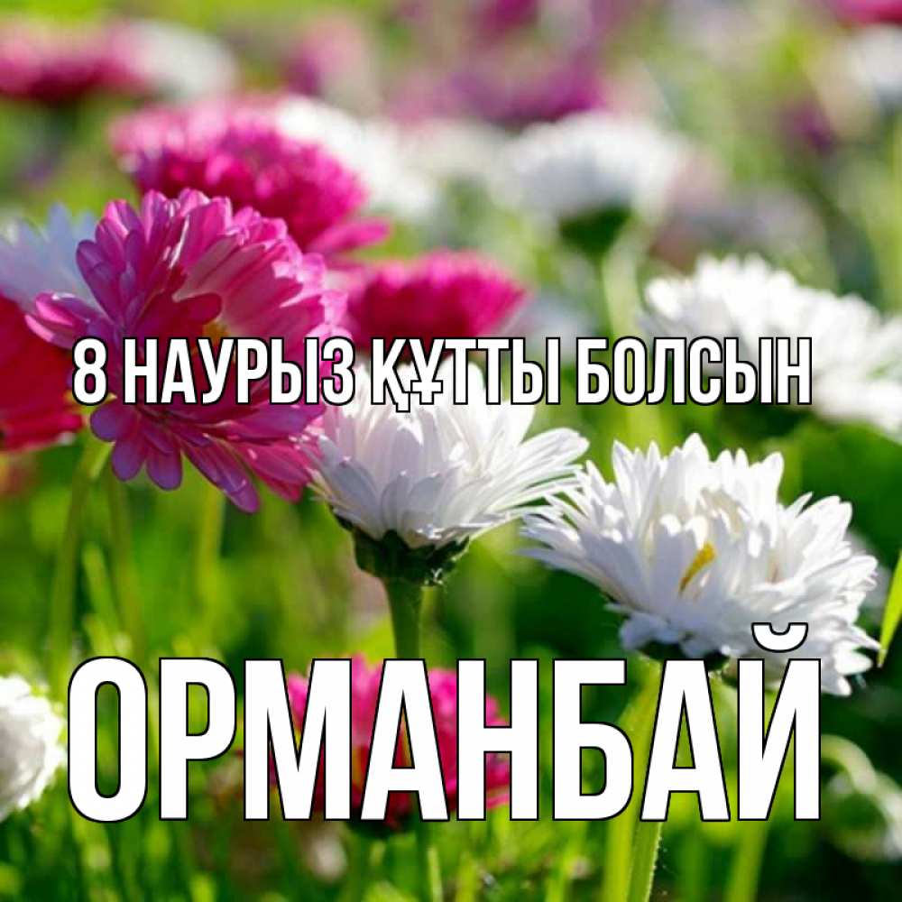 Күн сайын ашық хат с именем, ОРМАНБАЙ 8 наурыз құтты болсын международный женский день 1 Онлайн тегін жүктеп алу тілектері бар керемет карта 