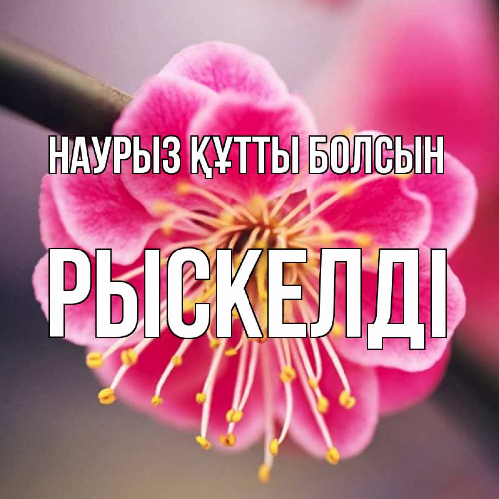 Күн сайын ашық хат с именем, РЫСКЕЛДІ Наурыз құтты болсын цветы Онлайн тегін жүктеп алу тілектері бар керемет карта 