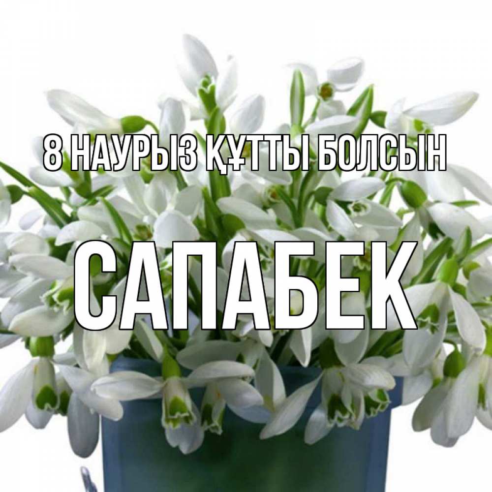 Күн сайын ашық хат с именем, САПАБЕК 8 наурыз құтты болсын цветы к международному женскому дню Онлайн тегін жүктеп алу тілектері бар керемет карта 