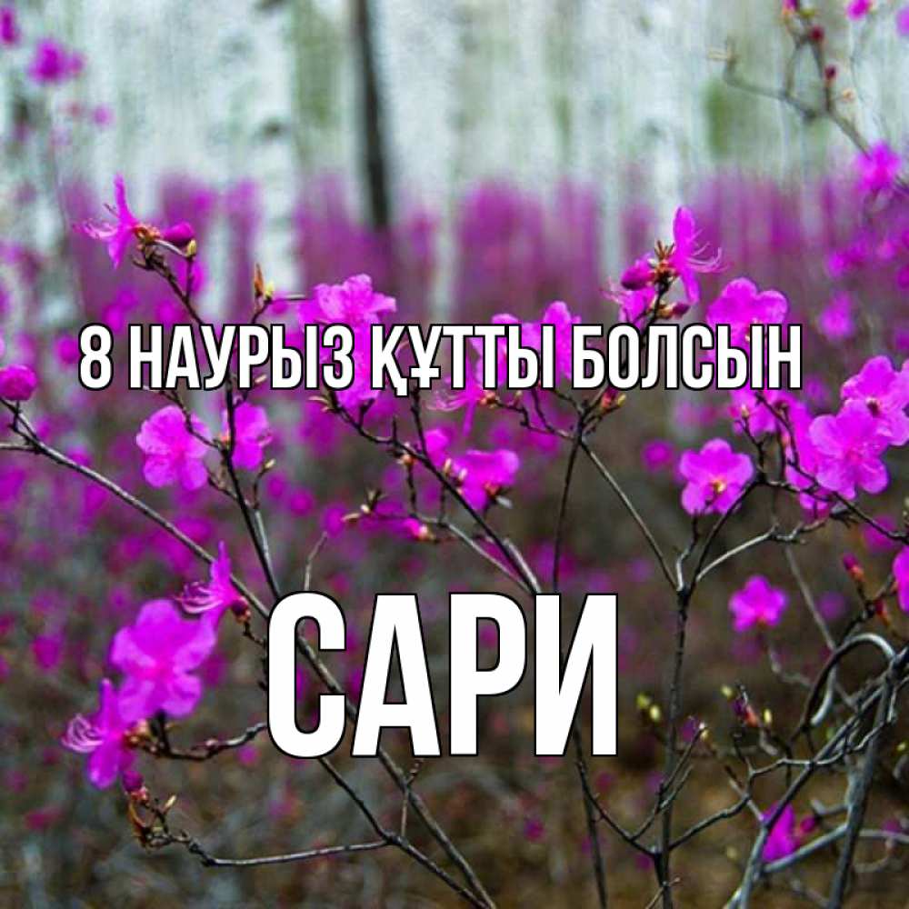 Күн сайын ашық хат с именем, САРИ 8 наурыз құтты болсын дикие цветы Онлайн тегін жүктеп алу тілектері бар керемет карта 