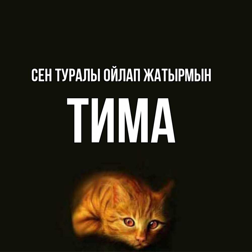 Күн сайын ашық хат с именем, Тима Сен туралы ойлап жатырмын рыжий Онлайн тегін жүктеп алу тілектері бар керемет карта 