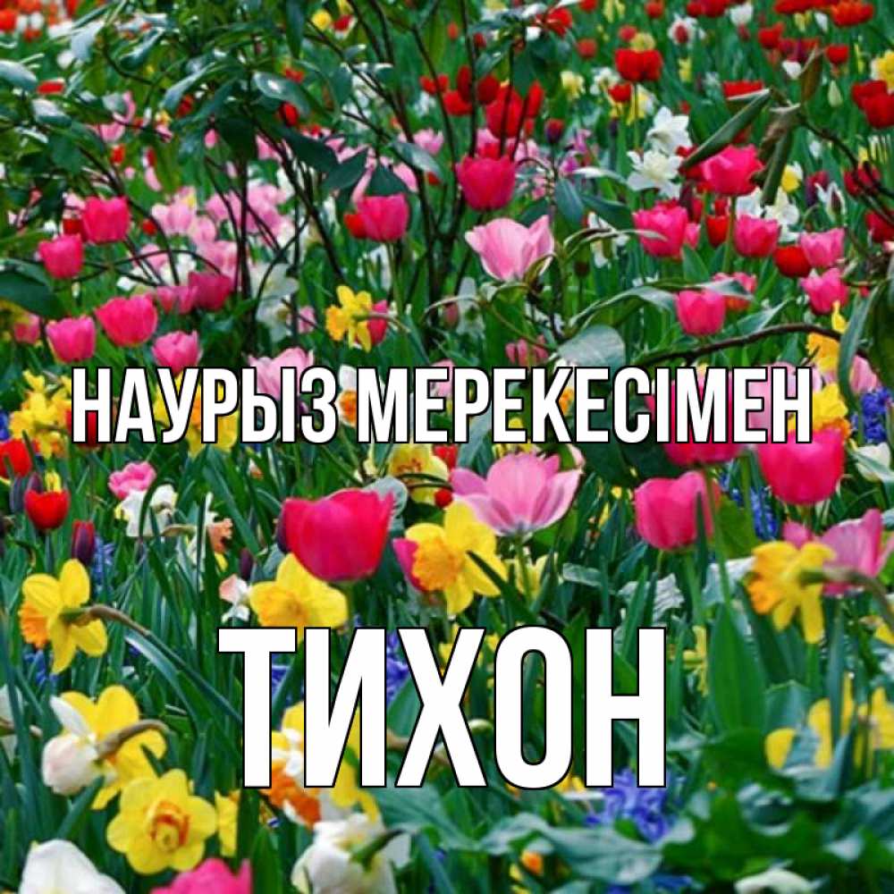 Күн сайын ашық хат с именем, Тихон Наурыз мерекесімен с наурызом праздником весны поздравления для женщины Онлайн тегін жүктеп алу тілектері бар керемет карта 