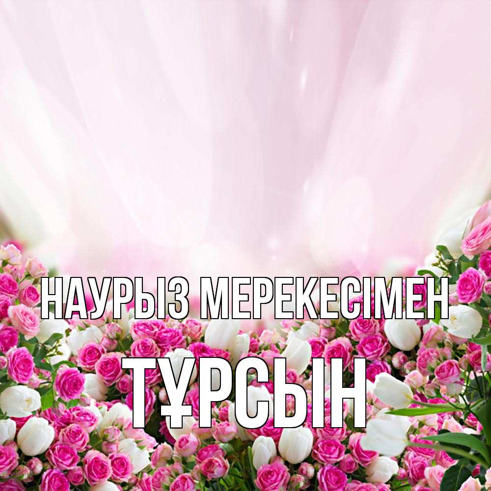 Күн сайын ашық хат с именем, ТҰРСЫН Наурыз мерекесімен под снегом Онлайн тегін жүктеп алу тілектері бар керемет карта 