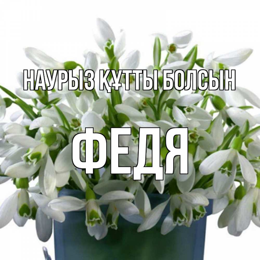 Күн сайын ашық хат с именем, Федя Наурыз құтты болсын цветы к наурызу Онлайн тегін жүктеп алу тілектері бар керемет карта 
