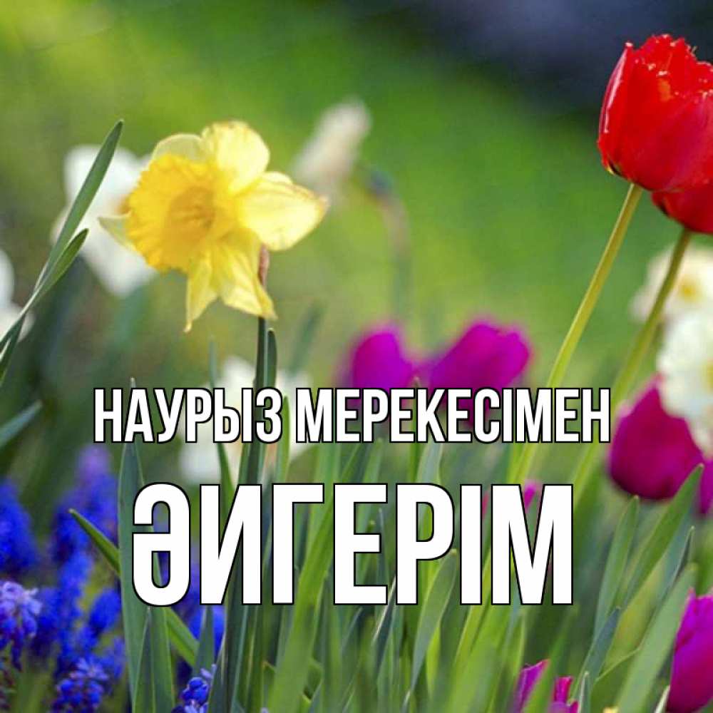 Күн сайын ашық хат с именем, ӘИГЕРІМ Наурыз мерекесімен праздник весны наурыз 3 Онлайн тегін жүктеп алу тілектері бар керемет карта 