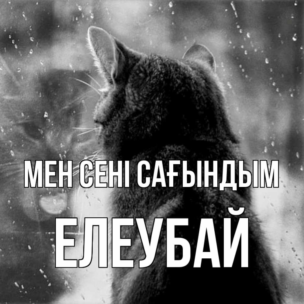 Күн сайын ашық хат с именем, Елеубай Мен сені сағындым скорее ко мне приходи 1 Онлайн тегін жүктеп алу тілектері бар керемет карта 