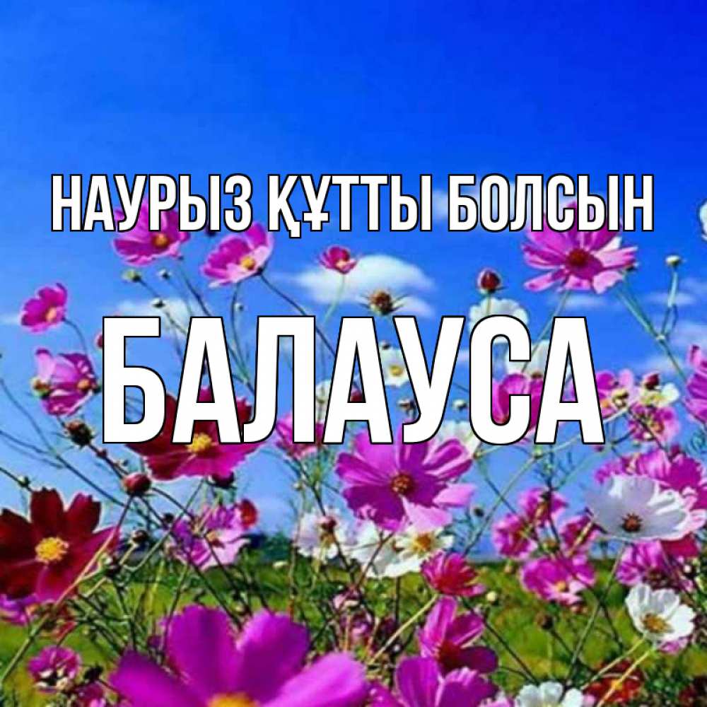 Күн сайын ашық хат с именем, БАЛАУСА Наурыз құтты болсын цветы Онлайн тегін жүктеп алу тілектері бар керемет карта 